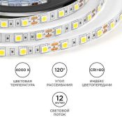 Светодиодная лента Белый дневной 5050 12V 14.4W/m 60Led/метр LSE-269 Эконом 10мм IP20 Светодиодная лента Белый дневной 5050 12V 14.4W/m 60Led/метр LSE-269 Эконом 10мм IP20