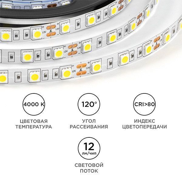 Светодиодная лента Белый дневной 5050 12V 14.4W/m 60Led/метр LSE-269 Эконом 10мм IP20 Светодиодная лента Белый дневной 5050 12V 14.4W/m 60Led/метр LSE-269 Эконом 10мм IP20