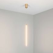 Подвесной светильник  10W Белый теплый 036952 SP-UMBRA-HANG-V-L600 220V IP20 фигурный светлое золото