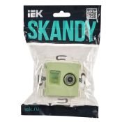Розетка встраиваемая комбинированная IEK SKANDY SK-AK20-1-K06 SK-A14G TV+RJ45 кат.5E мятный