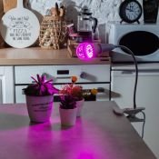 светодиодная фитолампа для растений  А60  9W 09645 LED-A60-9W/SP/E27/CL ALM01WH  IP20 для рассады и цветения