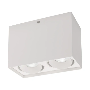 Накладной светильник 22W Белый дневной 023083 SP-CUBUS-S100x200WH-2x11W 220V двойной куб накладной белый