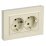 Штепсельная розетка встраиваемая двойная IEK BRITE 16А BR-R28-16-K10-F РСшПл12-3-БрКр с з/к и шторками в сборе плоская бежевый
