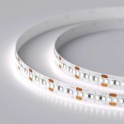 Светодиодная лента Белый 2216 24V  8W/m 300Led/метр 023556(2) MICROLED-M300 6000K  LUX