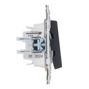 Выключатель встраиваемый двухклавишный с подсветкой IEK SKANDY SK-V20-1-10-K53 SK-V09G графит