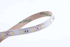Светодиодная лента Белый холодный 5050 12V 14.4W/m 60Led/метр 00-00009267 SWG560-12-14.4-W-65-M