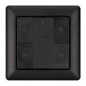 Панель DALI-223-1G-2S-IN-BLACK (BUS) 031100