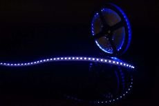 Светодиодная лента Синий 2835/3528 12V  9.6W/m 120Led/метр 00-00009466 SWG3120-12-9.6-B-M
