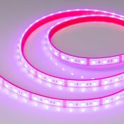 Светодиодная лента RGB 5060 12V 14.4W/m  60Led/метр герм (полная силиконовая экструзия) 033790 RTW-PFS-B60-13mm  LUX IP68
