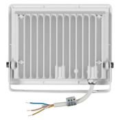 прожектор Белый  50W СДО 06-50 LPDO601-50-65-K01 IP65 220В белый