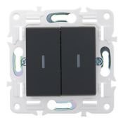 Выключатель встраиваемый двухклавишный проходной с подсветкой IEK SKANDY SK-V22-1-10-K53 SK-V10G графит