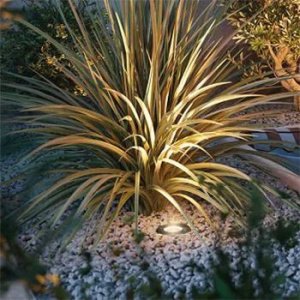 Уличные светильники DAFNA