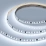 Светодиодная лента Белый 24V 11W/m 049434 SPI-A120-10mm White6000-PX6-BPT (2835, 600 LED, 5m)