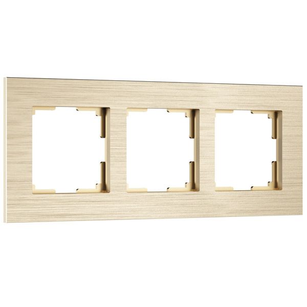 Рамка металлическая 3 поста WERKEL AluMax W0033511 шампань