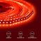 Светодиодная лента Красный 3528 12V  4.8W/m 60Led/метр 00-35 8мм