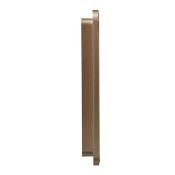 Рамка металлическая 3 поста IEK BRITE BR-M32-M-21-K37 РУ-3-1-Бр шампань RE AL