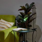 светильник настольный   4W UL-00010747 ULM-D501 4W-4000K GREEN на прищепке зеленый светильник настольный   4W UL-00010747 ULM-D501 4W-4000K GREEN на прищепке зеленый