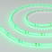 Светодиодная лента Зеленый 2835 24V  9.6W/m 120Led/метр герм (силикон) 016510(2)  RTW-SE-A120 LUX IP65