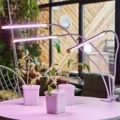 Фитосветильник  18W UL-00008904 ULT-P33-18W-SPLE-TM-60 IP40 WHITE TRIPLE на прищепке с таймером IP40