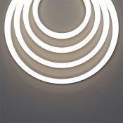 Гибкий неон   50W Белый дневной 432002 17x12 24V IP67 4000K