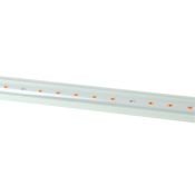 Фитосветильник  24W UL-00010528 ULI-P43-24W-SPBX WHITE линейный 872мм. спектр для рассады и цветения IP40
