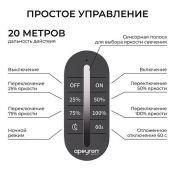 Диммер 04-101 (12/24V, 288/576W) с ПДУ