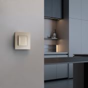 Рамка стеклянная 1 пост WERKEL Senso W0013111 шампань