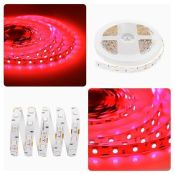 Светодиодная лента Красный 5050 12V 14.4W/m 60Led/метр 48BL Стандарт 10мм IP20 5м блистер