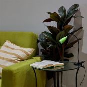 светильник настольный   4W UL-00010747 ULM-D501 4W-4000K GREEN на прищепке зеленый светильник настольный   4W UL-00010747 ULM-D501 4W-4000K GREEN на прищепке зеленый
