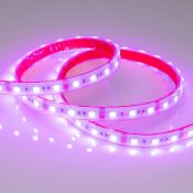 Светодиодная лента RGB 5060 12V 14.4W/m 60Led/метр герм (силиконовая трубка) 021402(2) RTW-PS-B60 LUX IP67