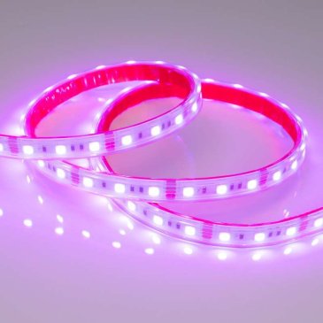 Светодиодная лента RGB 5060 12V 14.4W/m 60Led/метр герм (силиконовая трубка) 021402(2) RTW-PS-B60 LUX IP67