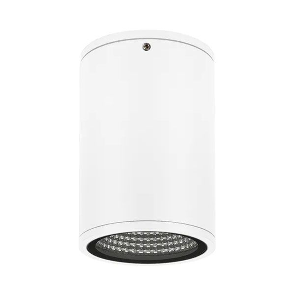 Накладной светильник  12W Белый теплый 037261 LGD-FORMA-SURFACE-R90 220V IP54 цилиндр белый