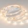 Светодиодная лента MIX 24V 14.4W/m RT-B60-10mm  Белый-MIX 2x (5060, 60 LED/m, LUX) 025213(2)