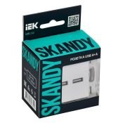 Розетка встраиваемая USB IEK SKANDY A+A 3,1А SK-U21-D31-K01 SK-R15W арктический белый