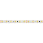 Светодиодная лента Белый дневной 5060 24V 14.4W/m  60Led/метр герм (силикон) 015455(2) RTW-SE-B60-10mm  LUX