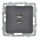 Розетка встраиваемая USB IEK BRITE A+C 45Вт BR-U22-045-K53 РЮ11-2-БрГ графит