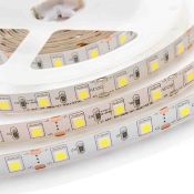 Светодиодная лента Белый 5050 24V 14.4W/m 60Led/метр 00-309 PRO 10мм IP20 Светодиодная лента Белый 5050 24V 14.4W/m 60Led/метр 00-309 PRO 10мм IP20