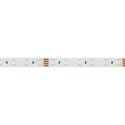 Светодиодная лента RGB 5060 24V 14.4W/m  60Led/метр герм (силиконовая трубка) 021400(2) RTW-PS-B60  LUX IP67