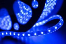 Светодиодная лента Синий 3528 220V  60Led/м герм 00000001105 LT360-B-100 IP68