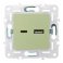 Розетка встраиваемая USB IEK SKANDY A+C 3,1А SK-U22-D31-K06 SK-R14G мятный