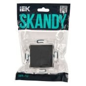 Выключатель встраиваемый двухклавишный проходной IEK SKANDY SK-V22-0-10-K48 SK-V05T титан