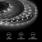Светодиодная лента Белый дневной 3528 12V  4.8W/m 60Led/метр Стандарт 00-142 8мм Светодиодная лента Белый дневной 3528 12V  4.8W/m 60Led/метр Стандарт 00-142 8мм