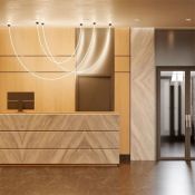 Подвесной светильник  18W Белый дневной 043374 SP-TROPIC-BUILT-TRIMLESS-R18-L1200 220V IP20 фигурный черный