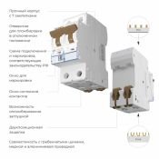 Автоматический выключатель 2-пол. 25А W902P256 C25 6кА