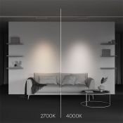 Трековый светильник 10W Белый дневной TR195-3-10W4K-M-W Точки / Points Trinity IP20 белый