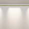 Светильник 12W Белый теплый/белый C101CL-L500-12W3-6K-BS Точки / Points Axity 3000/6000К латунь