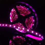 Светодиодная лента 12V 14.4W/m 00-00007115 SWG560-12-14.4-RGB-SPI RGB (5050, 300LED) IP20