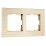 Рамка металлическая 2 поста WERKEL AluMax W0023511 шампань