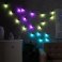 Умная гирлянда «Нить» RGB с насадками «Лампочки» темная нить, управление с приложения, USB, 6.0 м., USB, 20Led, IP20