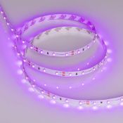 Светодиодная лента Розовый 2835 12V  4.8W/m 60Led/метр 013571(2) RT-A60  LUX